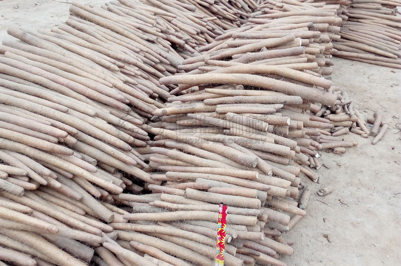 焦作孟州客戶(hù)懷山藥切片烘干現(xiàn)場(chǎng)